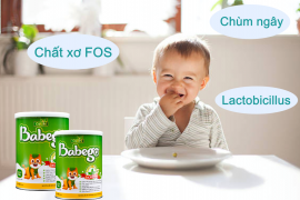 Babego tăng cường chất xơ FOS